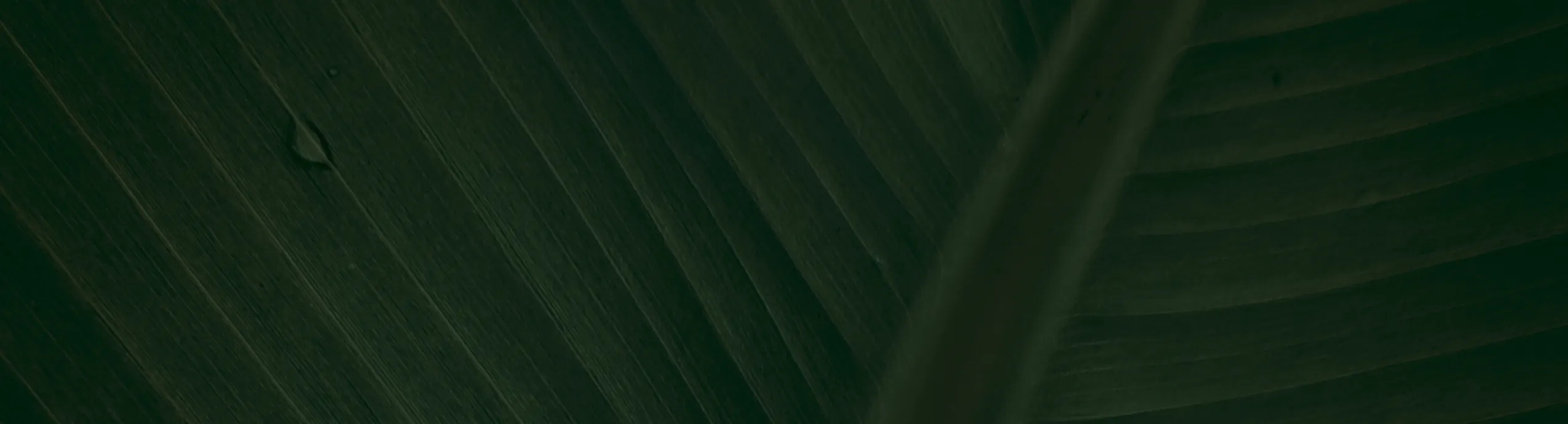 145g(Moyenne taille)